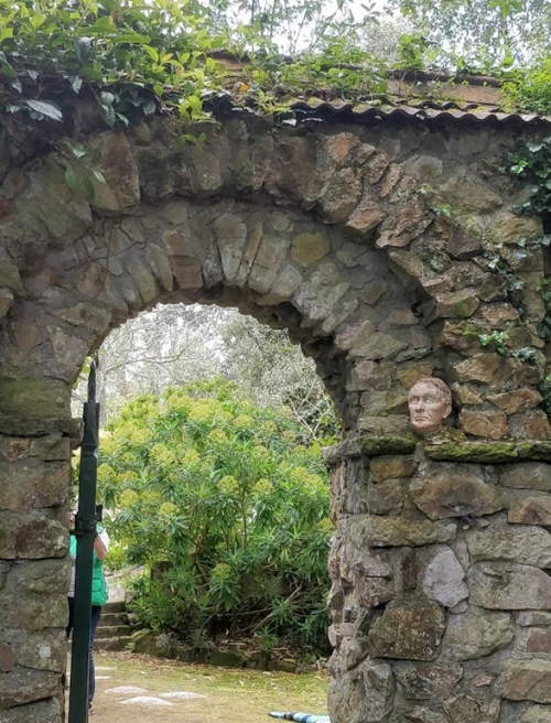 Trefusis Head & the Bluebells of Enys Gardens